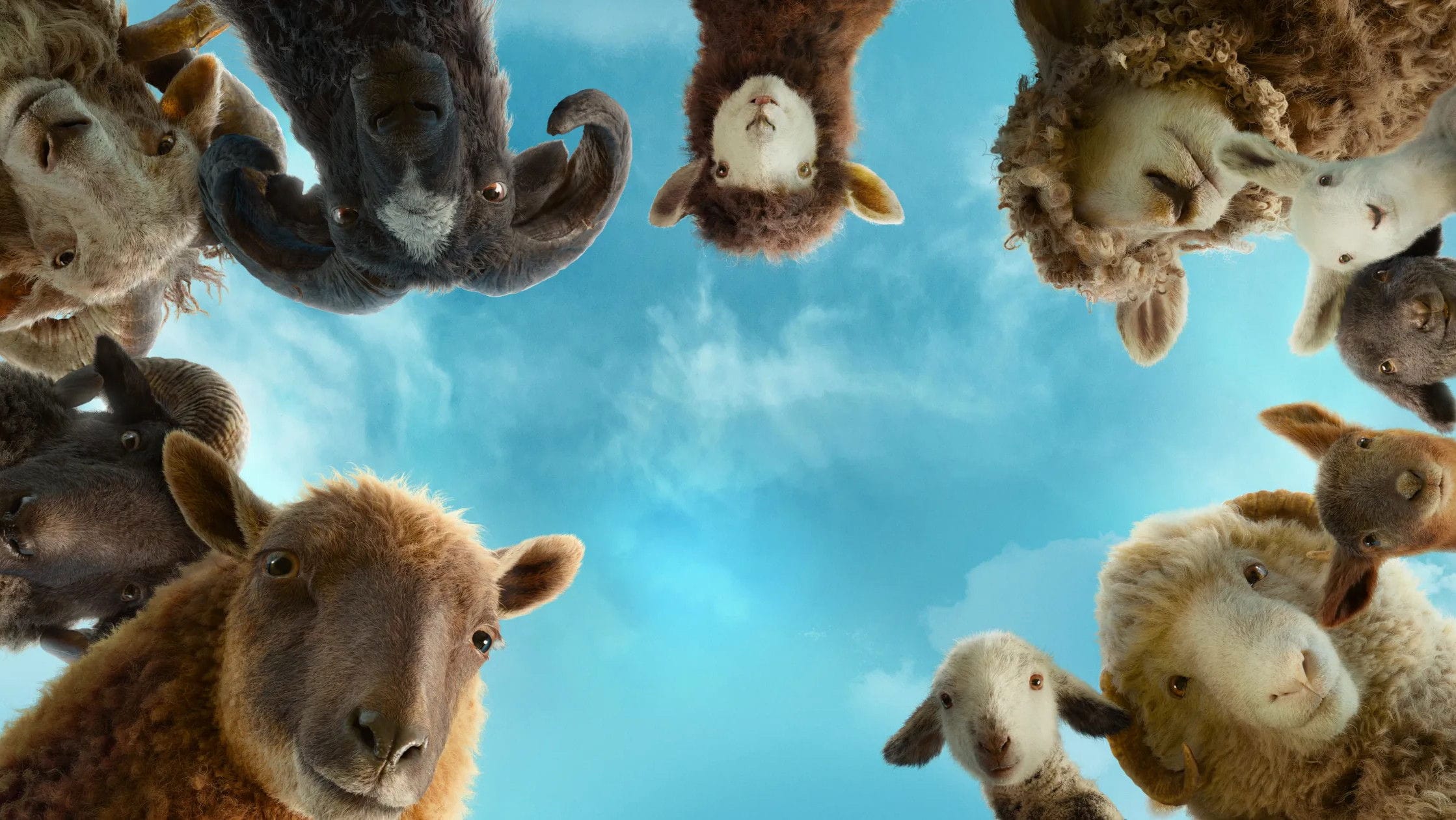 The Sheep Detectives